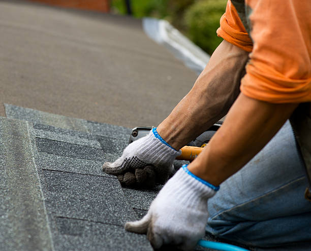 Best Metal Roofing Contractor  in Gateway, AK