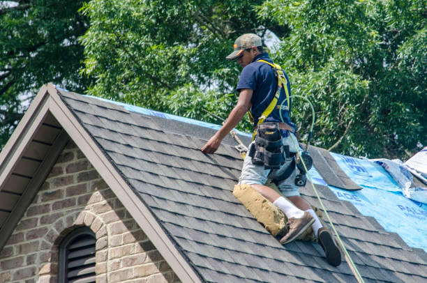 Best Roof Repair Services  in Gateway, AK